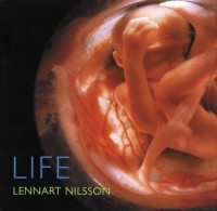 Image of Life