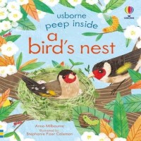 Image of Peep Inside: A Bird's Nest
