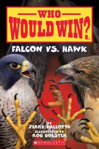 Image of Who would win? Falcon vs hawk
